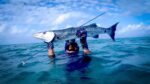 3-Day Fishing/Spearfishing Expedition + Oceanfront Luxury Stay – Taboga - Image 2
