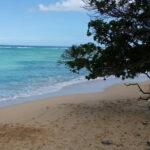 3 Full Fishing/Spearfishing Days | 4 Nights Oceanfront Luxury – Hacienda del Mar - Image 2