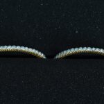 Set de 2 pulseras tipo Cartier con diamantes