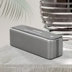 Portable Audio