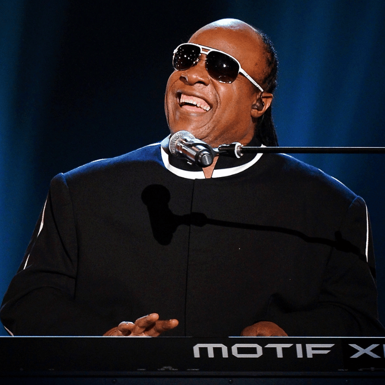 stevie wonder